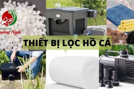 thiết bị lọc hồ cá quảng ngãi