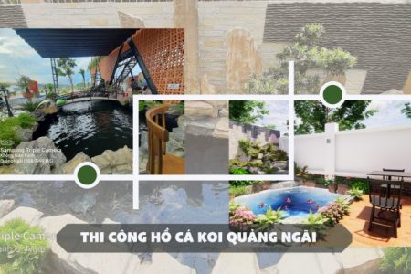 thiết kế hồ cá koi