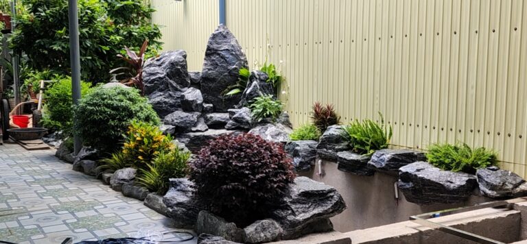 Hồ Cá KOI Sân Vườn Đạt Chuẩn